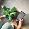 Best Hosting for a Personal Website: Simple, Cheap, and Easy Options