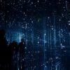 Best Hosting for a Startup Landing Page